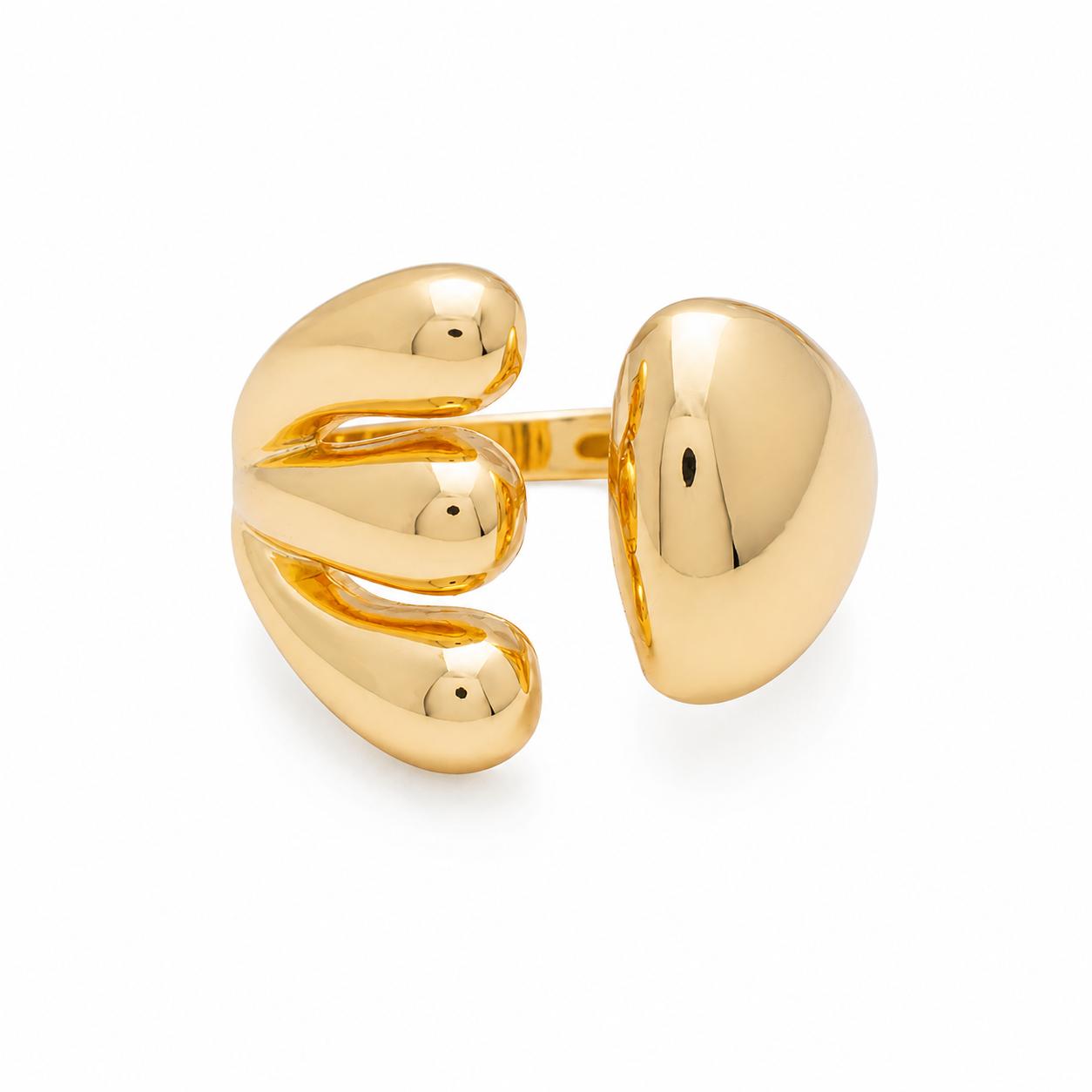 Anillo Fiorella Narcissa