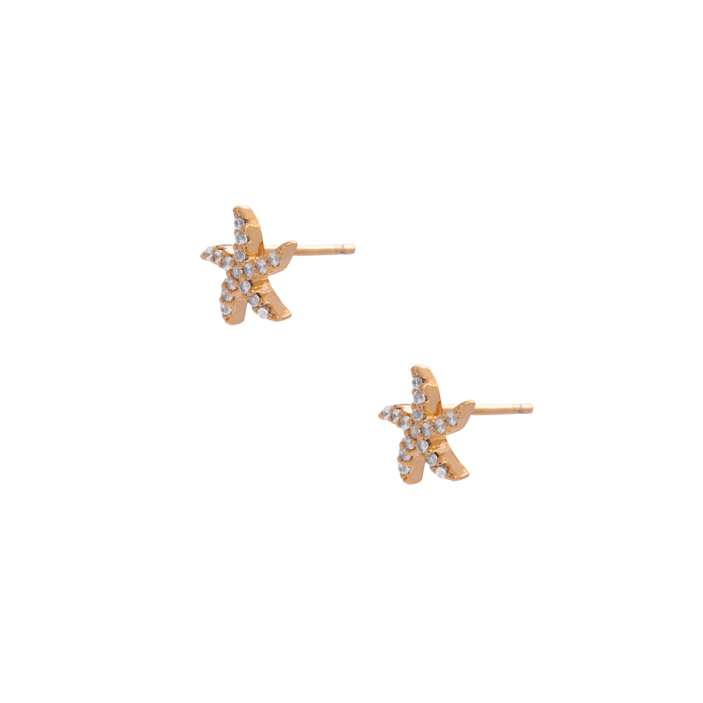 arosnuevos11-12c28ab1a7179e6ef617345798361090-1024-1024.jpg