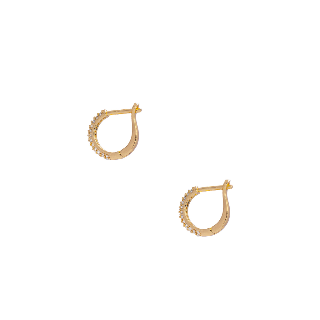 arosnuevos4-6b5cbc00a44b03b47217345722824607-1024-1024.jpg
